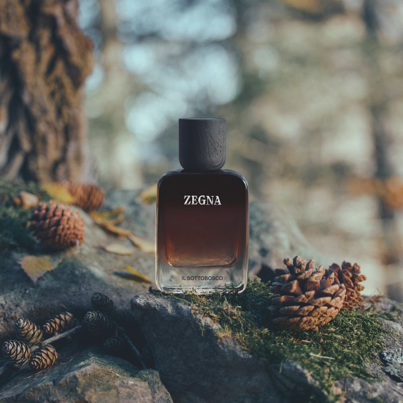 Vol. IV — IL SOTTOBOSCO