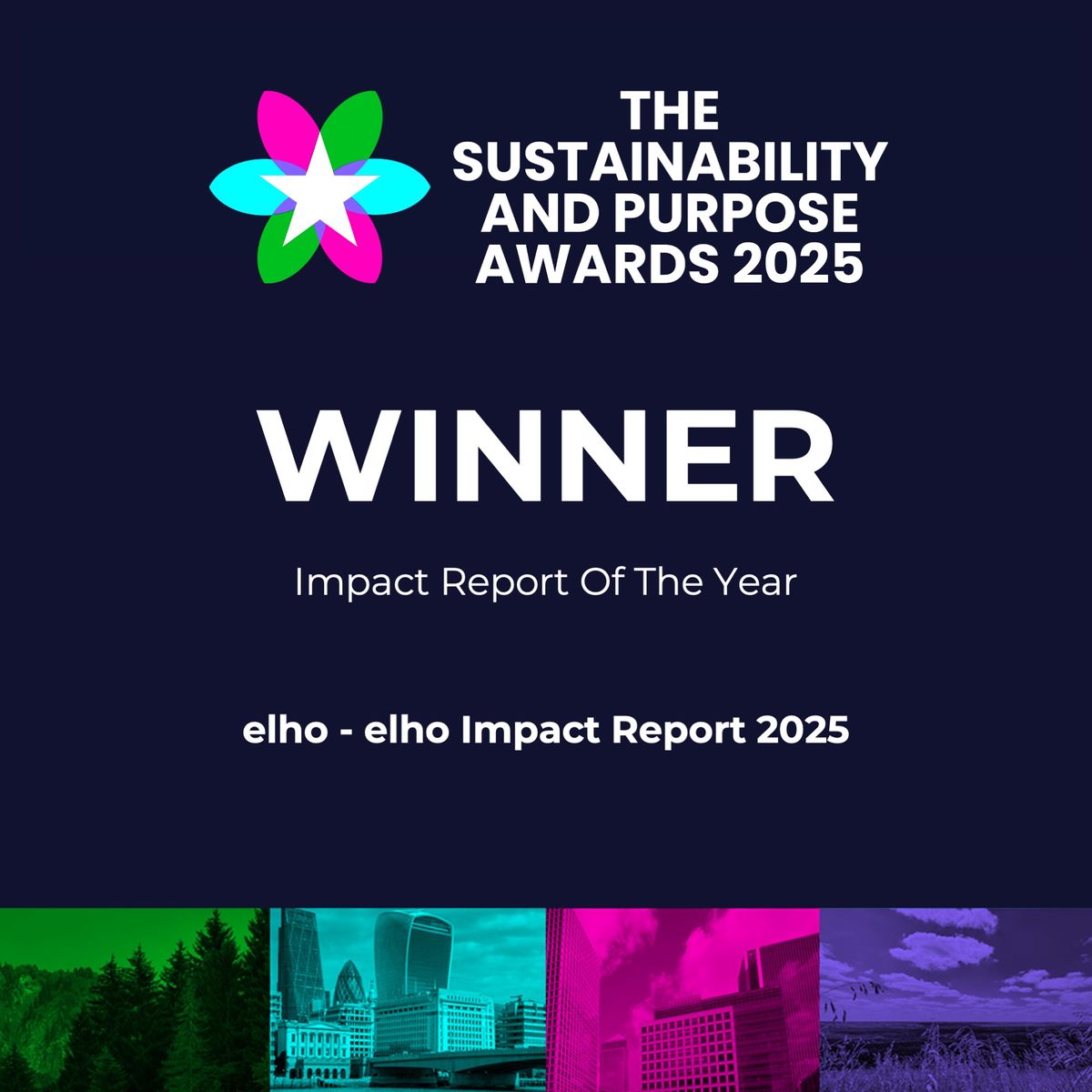 Impact Report of the Year