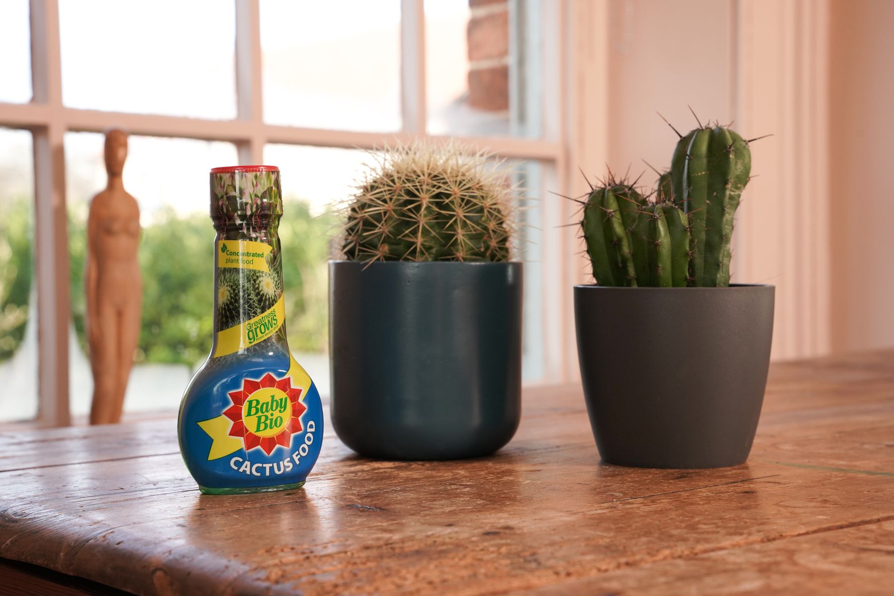 Baby Bio® Cactus Food