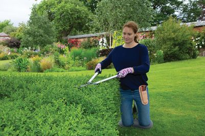 Ultralight Hedge Shears