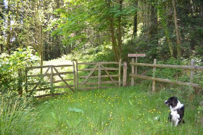 Woodlands.co.uk                                                                                                      