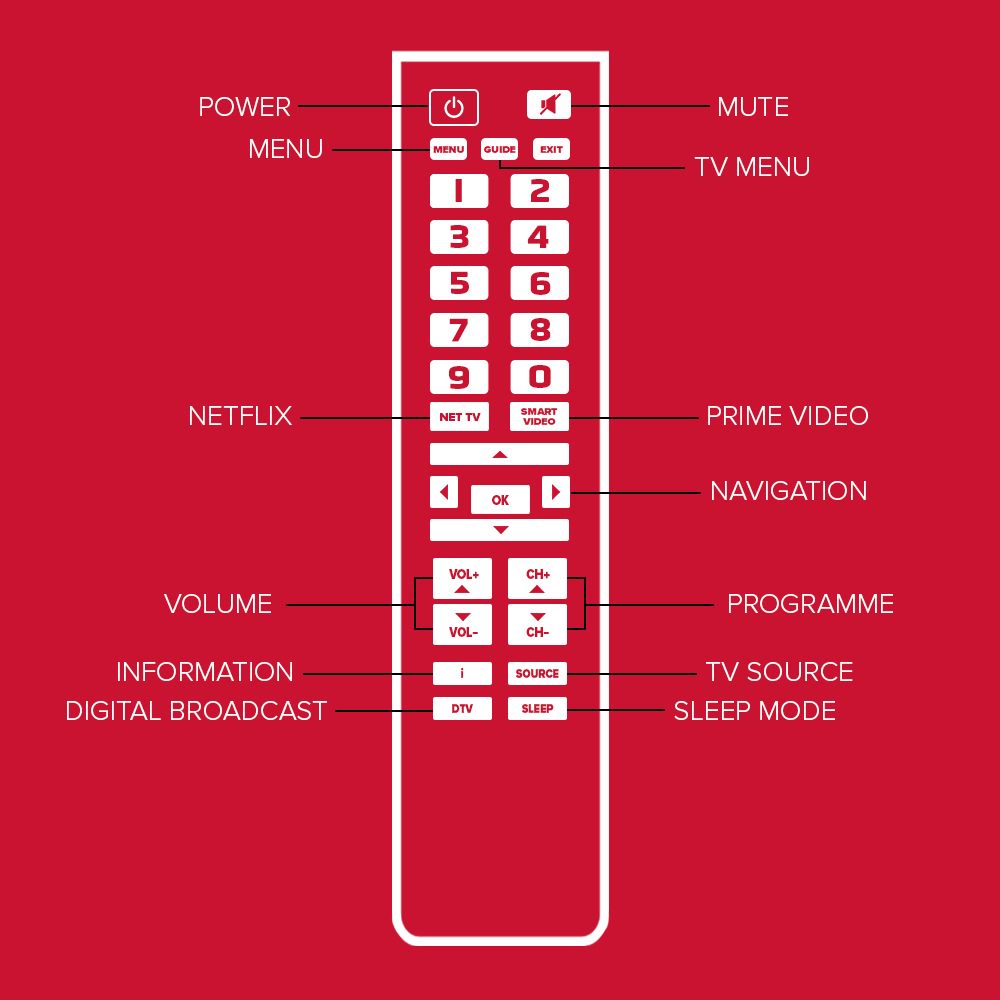Simply-Big-Button-Diagram.jpg