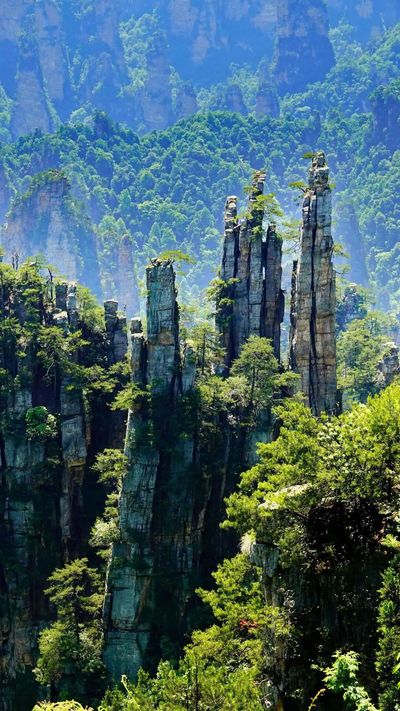 Zhangjiajie National Park (1).jpg