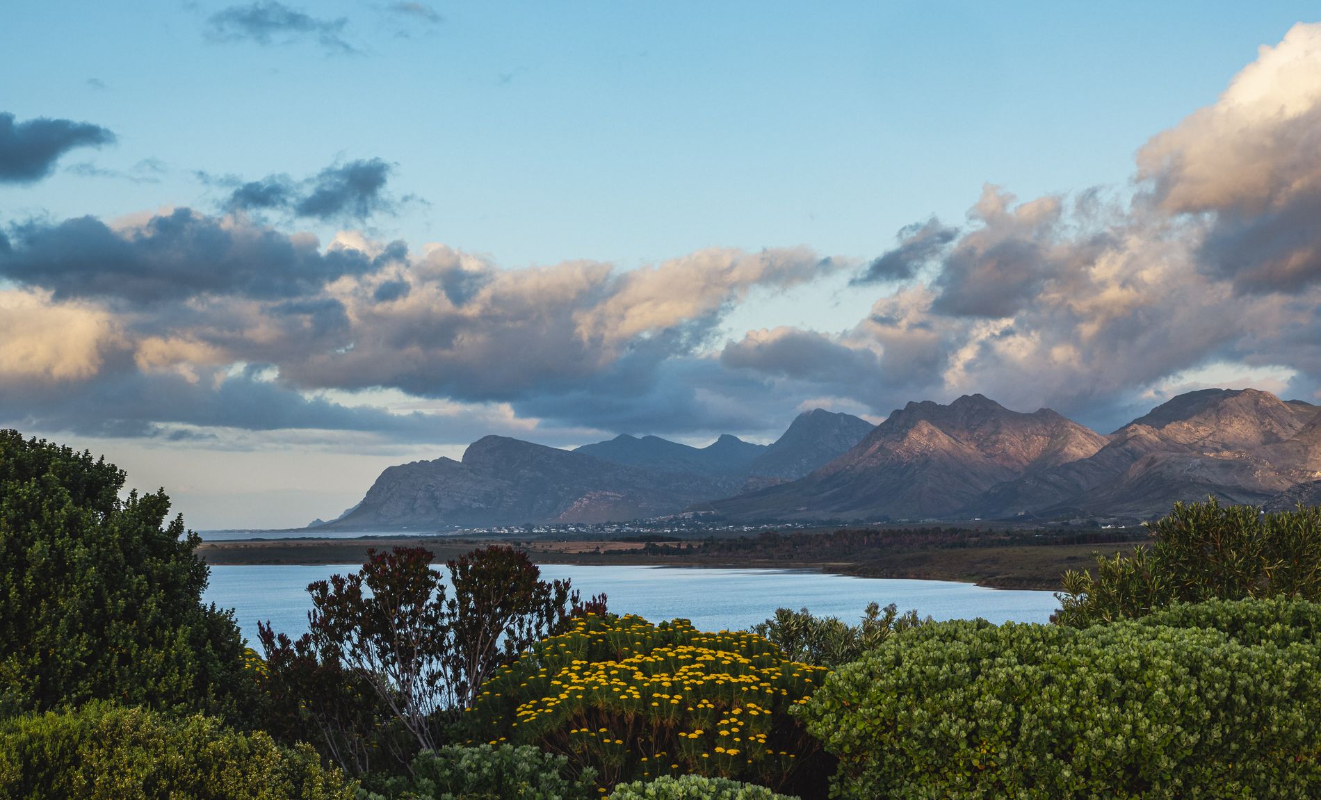 Ocean-Facing-Vineyards-Benguela-Cove.jpg