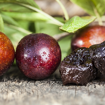 California Prune Board reinforces its commitment to sustainability 