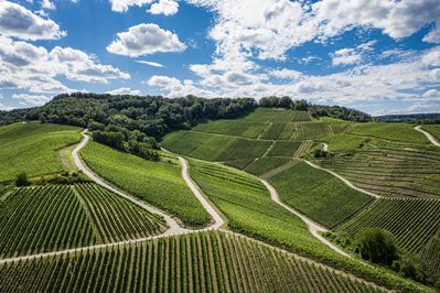Schwebsingen-Remich-1-© Tom Jutzler-LFT.jpg