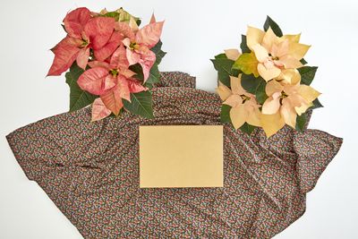2022_poinsettia_05130_DIY_Reusable_Japanese_Gift_Wrap_02.jpg
