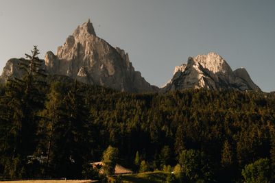 _7810335.jpg