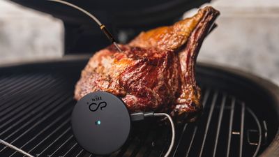 witt-cookperfect-comfort_single-lifestyle-grill-lamb copy 2.jpg