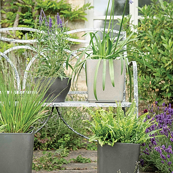 Woodlodge bamboo pots.jpg