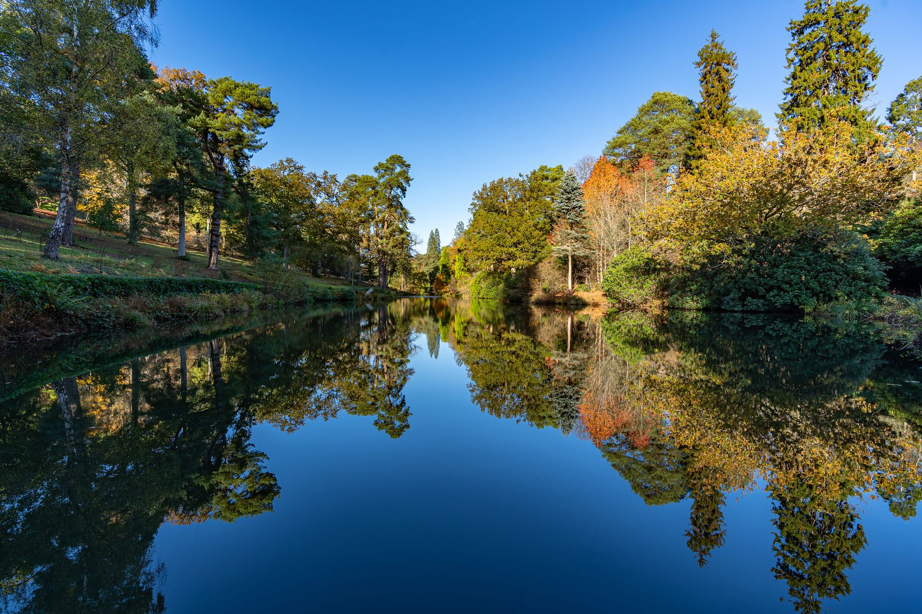 Leonardslee_Gardens-3.jpg