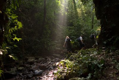 Selective Asia Laos - forest trekking.jpg