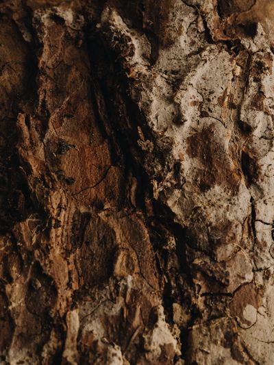 YERA-Details-1©Charlotte Lapalus-FORESTIS (18).jpg