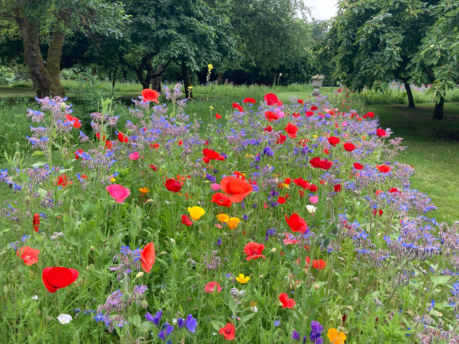 The Bee Borders at Levens Hall and Garden, Cumbria - a 5-Star hotel for pollinators.