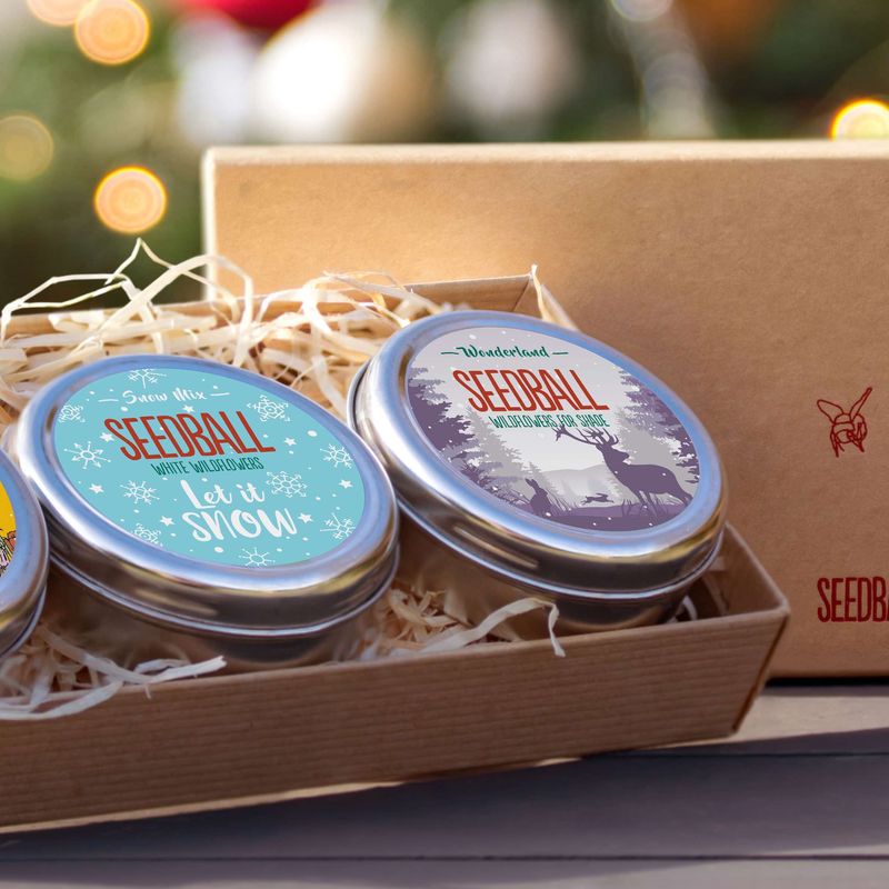 Seedball Tins with Gift Box