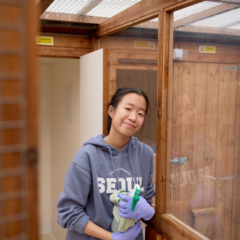 Moulton College student Anna is on work experience at Cloverlea Cattery