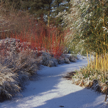 Hillier Garden Centres and Nurseries