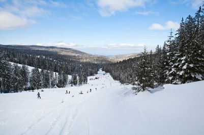 Rogla Ski Resort
