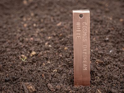 Copper Plant Label
