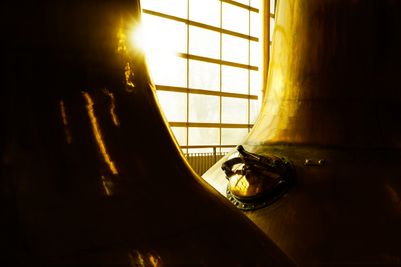 No. 4 - Sillhouette of stills.jpg