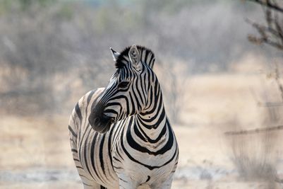 Credit Taylor Wright [Unsplash] - Namibia.jpg