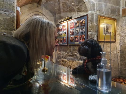 Doggy guest 'George' checks into Langley Castle Hotel, Northumberland