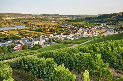 Remerschen-2020-CA38-Terroir-Moselle-Christophe-Arnoldi.jpg