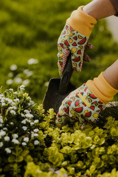 Durstons lifestyle gardening shot