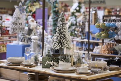 Hillier Garden Centres and Nurseries at Christmas