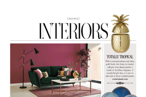 Screencapture of Essex Life