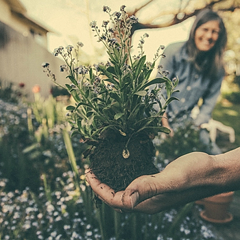 Gardening 2.jpg