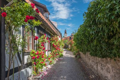 Visby SS_453600250.jpg