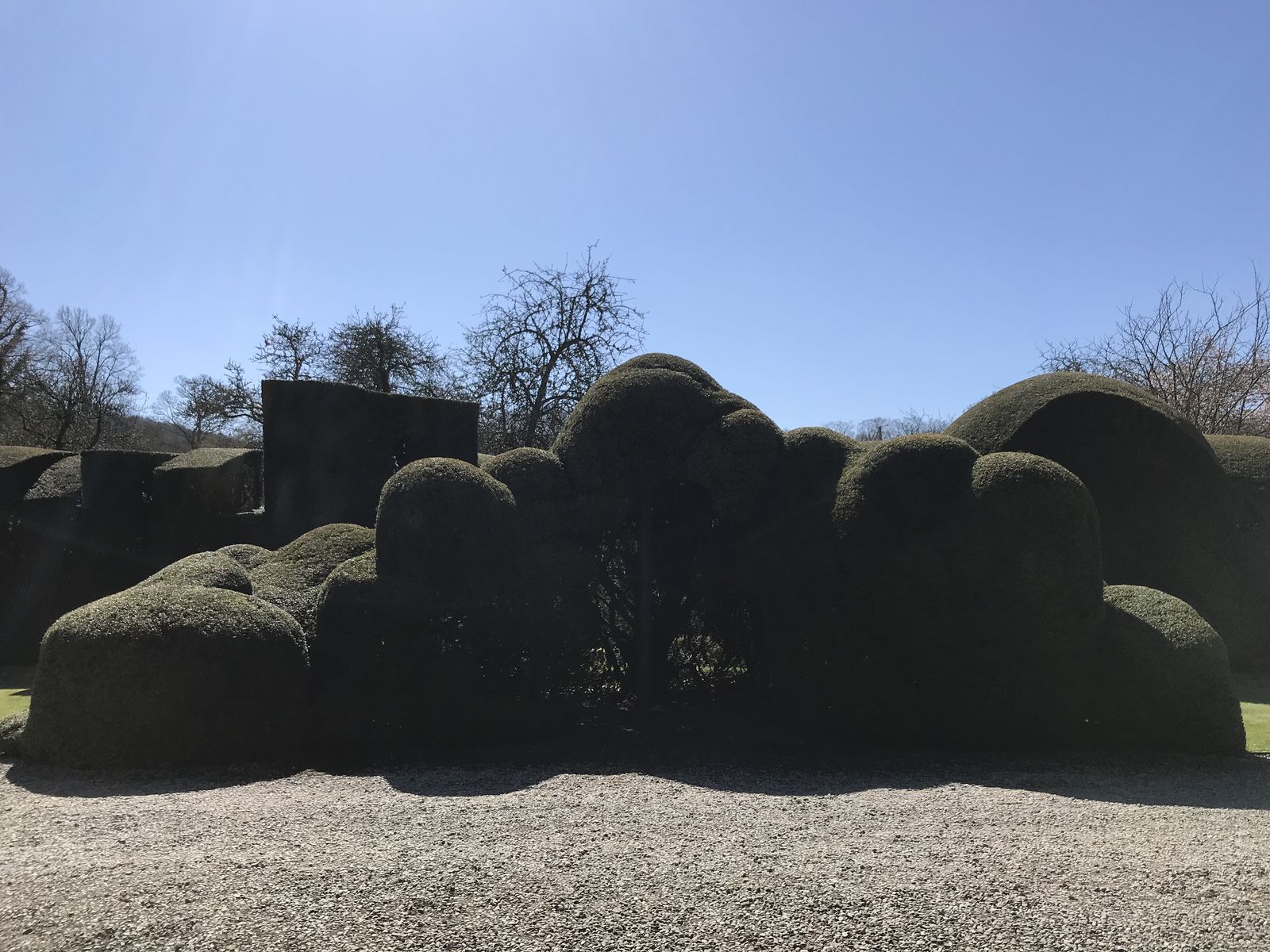 Topiary at Levens Hall, Cumbria, UK