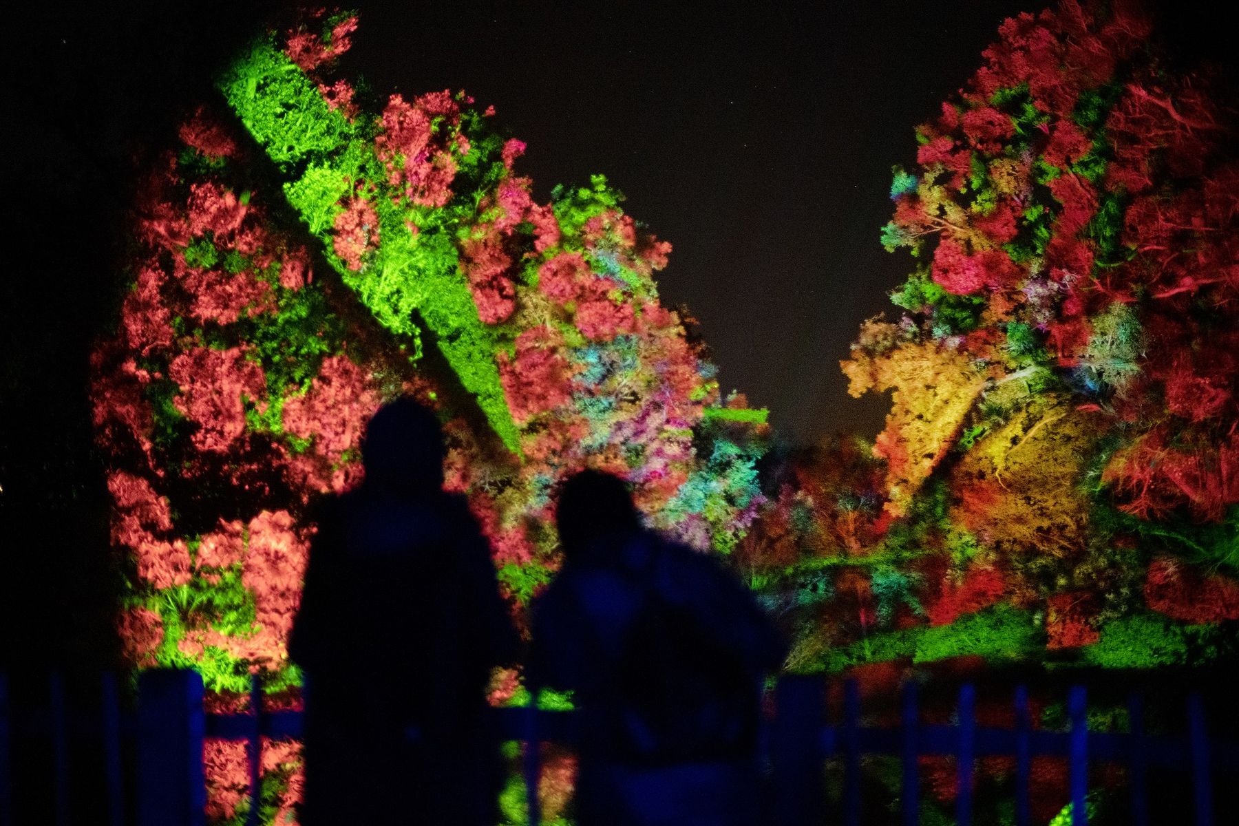 Glow Wild at Wakehurst