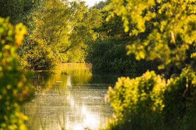 Sculpture by the Lakes 2.jpg