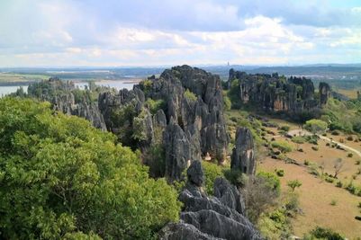 Stone Forest (8).jpg