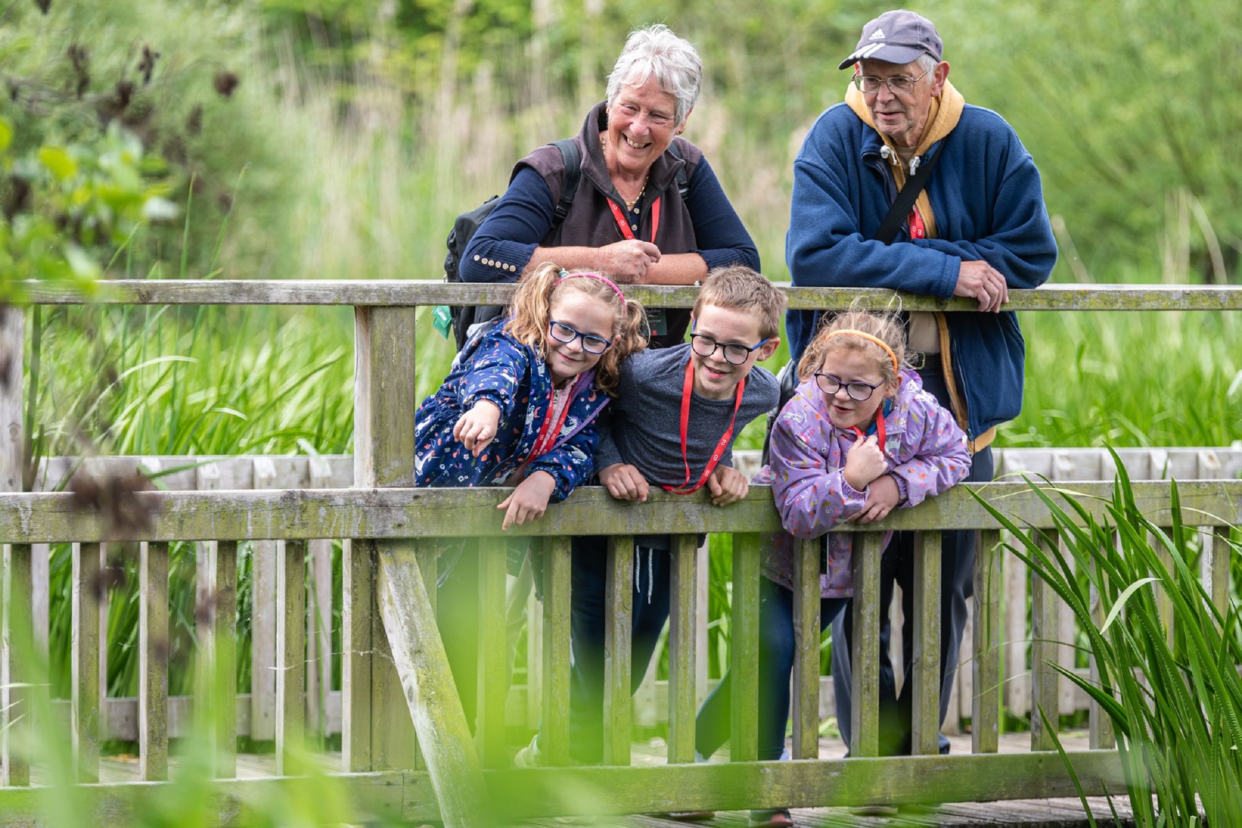 WWT Slimbridge.sm.jpg