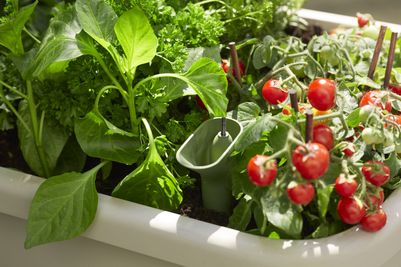 noa grow table