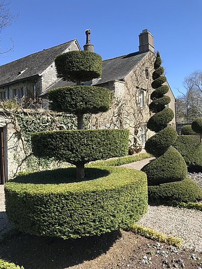Topiary at Levens Hall, Cumbria, UK