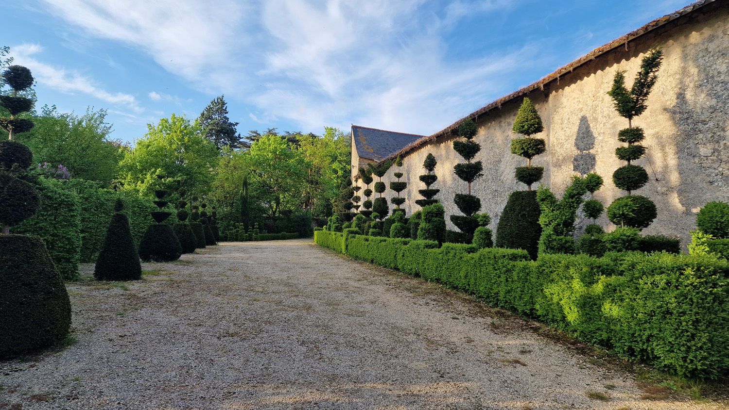 François Vandangeon - First Place in EU Home Gardener Category