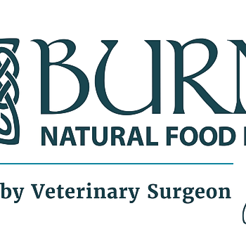 Burns Logo - Developed by.jpg