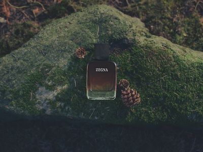 Vol. IV — IL SOTTOBOSCO