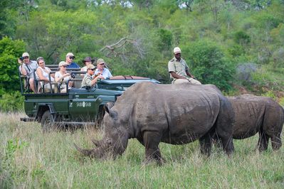 Sabi Bush Lodge 