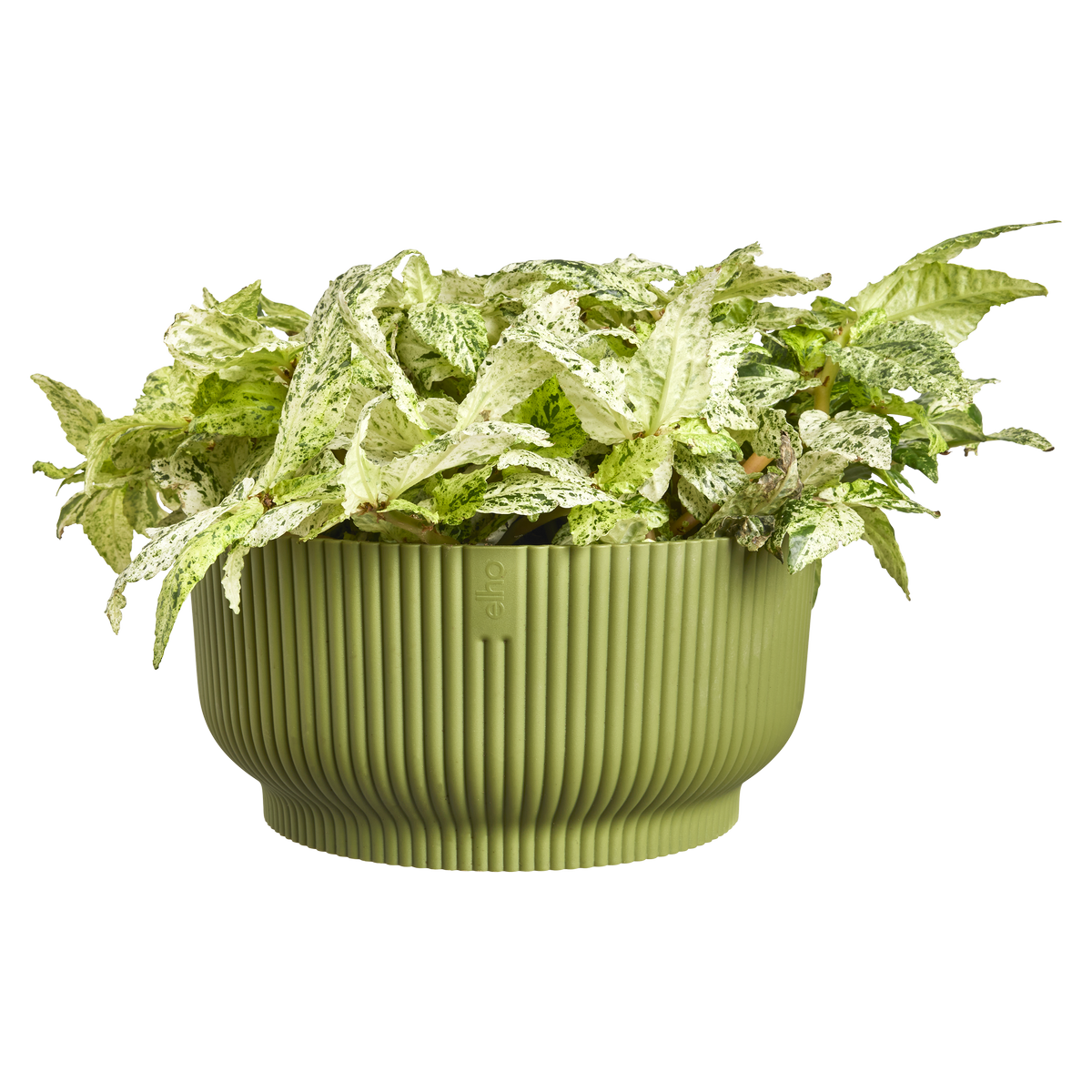 vibes fold bowl