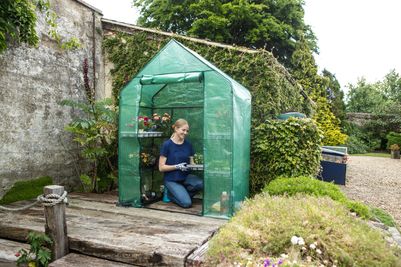 Walk In Greenhouse – RRP £64.99 