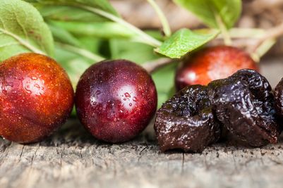 California Prune Board 