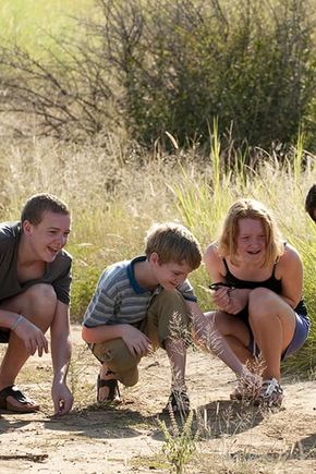Family Safari.png