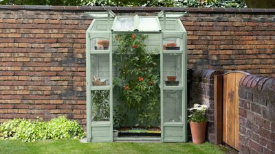 Suggested Header 2000px Victorian Tall Wall Greenhouse - (Image Credit @forestgardenltd).jpg