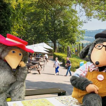 PRESS KIT Orinoco and Tobermory.jpg