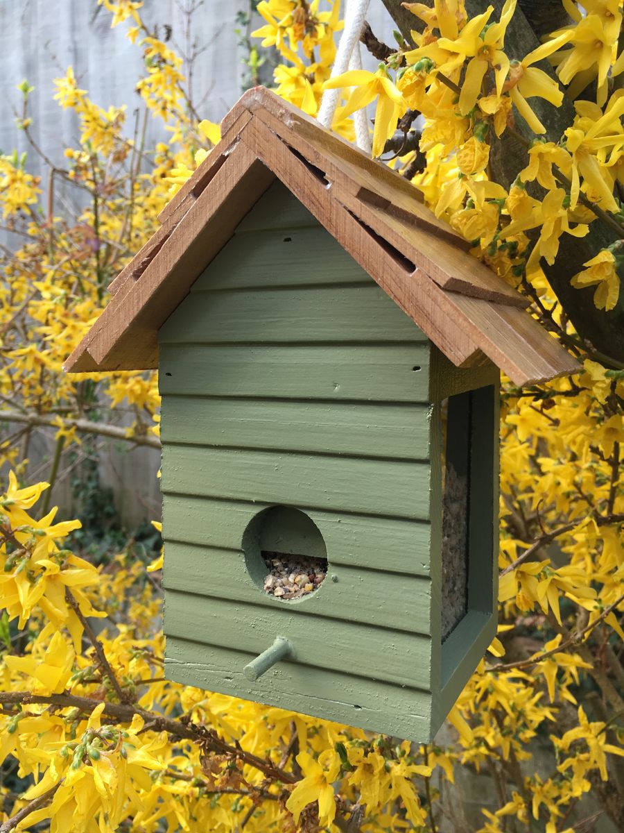 Birdhouse in Thorndown's Moorland Green and UV Clear Wood Paints